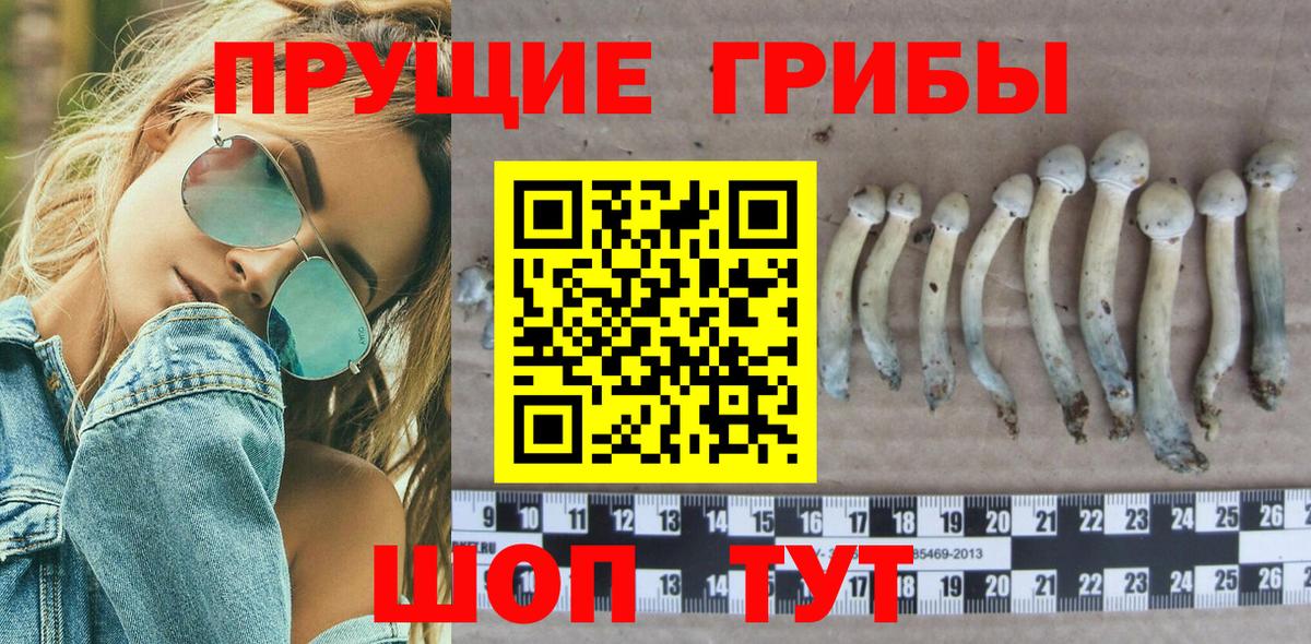 Галлюциногенные грибы мухоморы Кандалакша