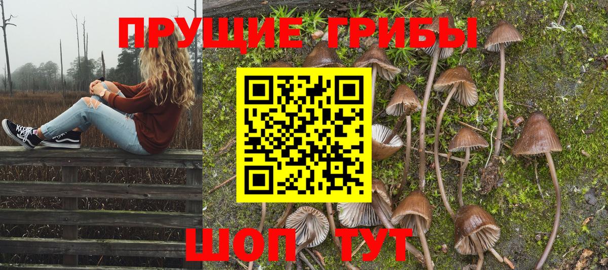 Псилоцибиновые грибы Magic Shrooms  Псилоцибиновые грибы ЛСД  Вход с VPN  Кандалакша 